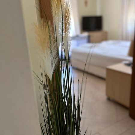 Quiet Apartment With Big Terrace In Santa Marina With Parking ソゾポル エクステリア 写真