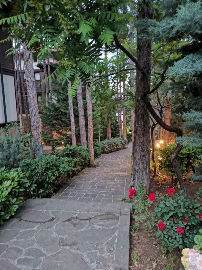 Quiet Apartment With Big Terrace In Santa Marina With Parking ソゾポル エクステリア 写真