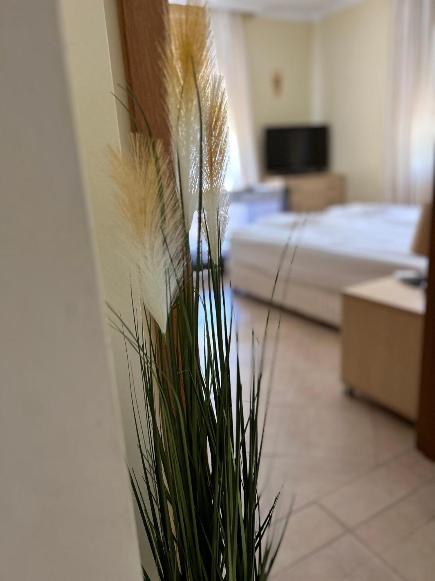 Quiet Apartment With Big Terrace In Santa Marina With Parking ソゾポル エクステリア 写真